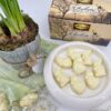 CHOKETO Frühlingsfreunde JOGHURT-QUARK – Low Carb & Keto Schokoladenfiguren – handgemacht