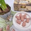 CHOKETO Frühlingsfreunde ERDBEER-SAHNE – Low Carb & Keto Schokoladenfiguren – handgemacht